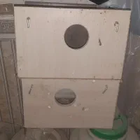 لانه عروس هلندی