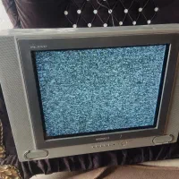 تلویزیون