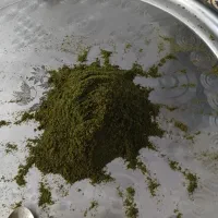آویشن