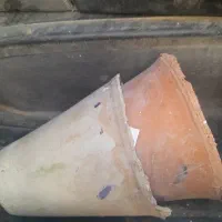 ۲۰۰ عدد گلدان