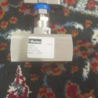 یک عددشیر سوزنی