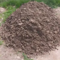 کود حیوانی