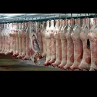 سوپر گوشت برادران مژدی مدیریت حجت مژدی