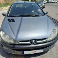۲۰۶تیپ۳استثنایی