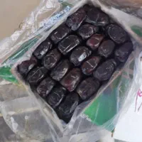 خرما رطب درجه یک بسته کامل نرخ شکن برادران رنجبر
