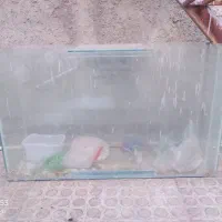 آکواریوم