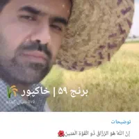 برنج ایرانی به صورت عمده و خرده