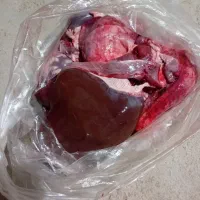 جیگر گوسفندی فقط کیلو ۹۵۰هزار