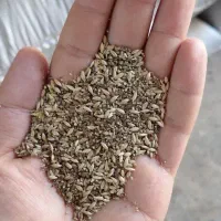 فروش عمده خوراک دام و طیور و پرندگان