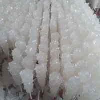 استخدام نیروی اقا