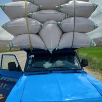 کاه عمدوخرده بصورت نقدی