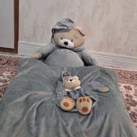 سرویس خواب خرسی
