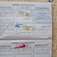 سگ پیت بل