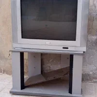 تلوزیون