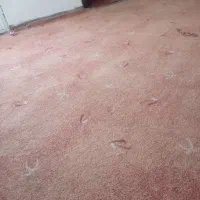 فروش پالاز موکت