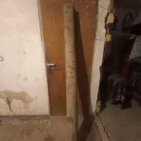 تنه درخت