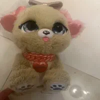 عروسک توی توی