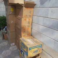کارتن اسبآب کشی