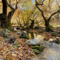 سرایدار نگهبان ، بازنشسته ، گیلان