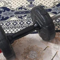 دمبل