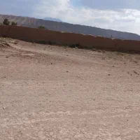 20قصب زمین درحوالی راین روستای دهملک