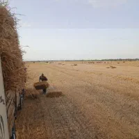 پرس جو مجود است