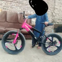 این دوچرخه به سرقت رفته
