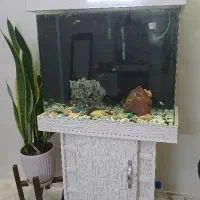 آکواریوم