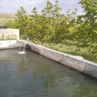 باغ