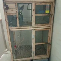 قفس پرنده بزرگ