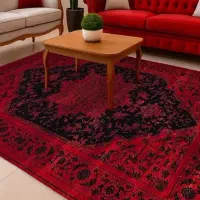 فرش +طرح /رنگ /ابعاد/متنوع
