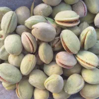 بادام پوست کاغذی وسنگیفروش بادا