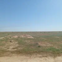 زمین-کشاورزی-چم-هندی-ابوغویر