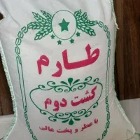 برنج کشت دو