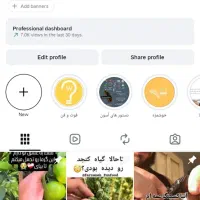 فروش پیج‌اینستاگرام ۲۰.۹K چند‌ریلز بالای ۱ میلیون