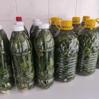 خیار شور