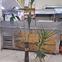 گل طبیعی و مصنوعی