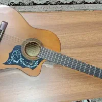 هافنر hac 204 ce پیکاپدار