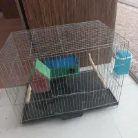قفس پرنده عروس هلندی مرغ عشق