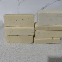 اسفنج گل 23 عدد