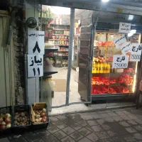 یخچال دو روصنعتی مغازه