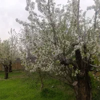 فشند-گنج-پنهان-در-البرز-که-منتظر-شماست