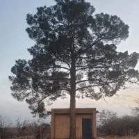 نیاز به کارگر با جای خواب