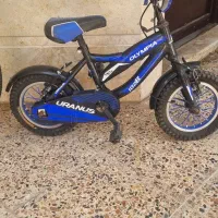 دوچرخه|دوچرخه، اسکیت، اسکوتر|شیراز, آبیاری|دیوار