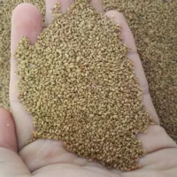بذر یونجه همدانی