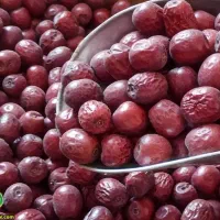عناب درجه ۱