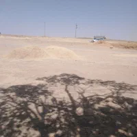 خریدار کاه نخود