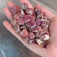 لوبیا عروس مناسب