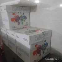 برگه اچهار سل پرینت