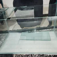 آکواریوم